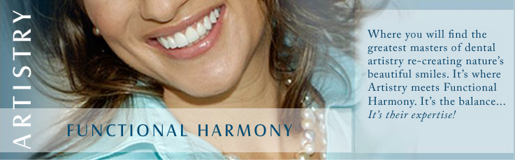 Functional Harmony